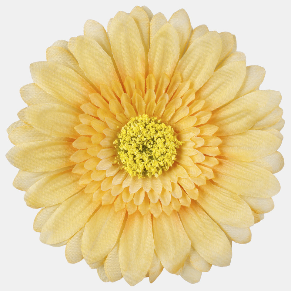 Gerbera XXL, Yellow W298-24