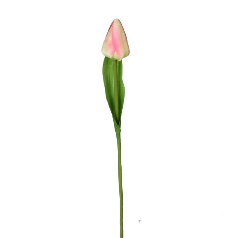 Tulipan - gałązka 44 cm, m K375-m