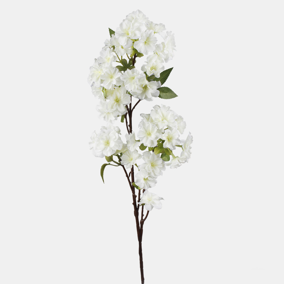 Azalia, Cream L899-02