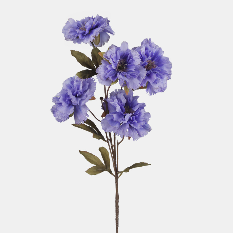 Goździk x 5, Violet L906-06