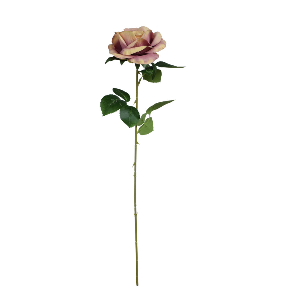 Róża - gałązka 63 cm, cream/lavender center K398-04