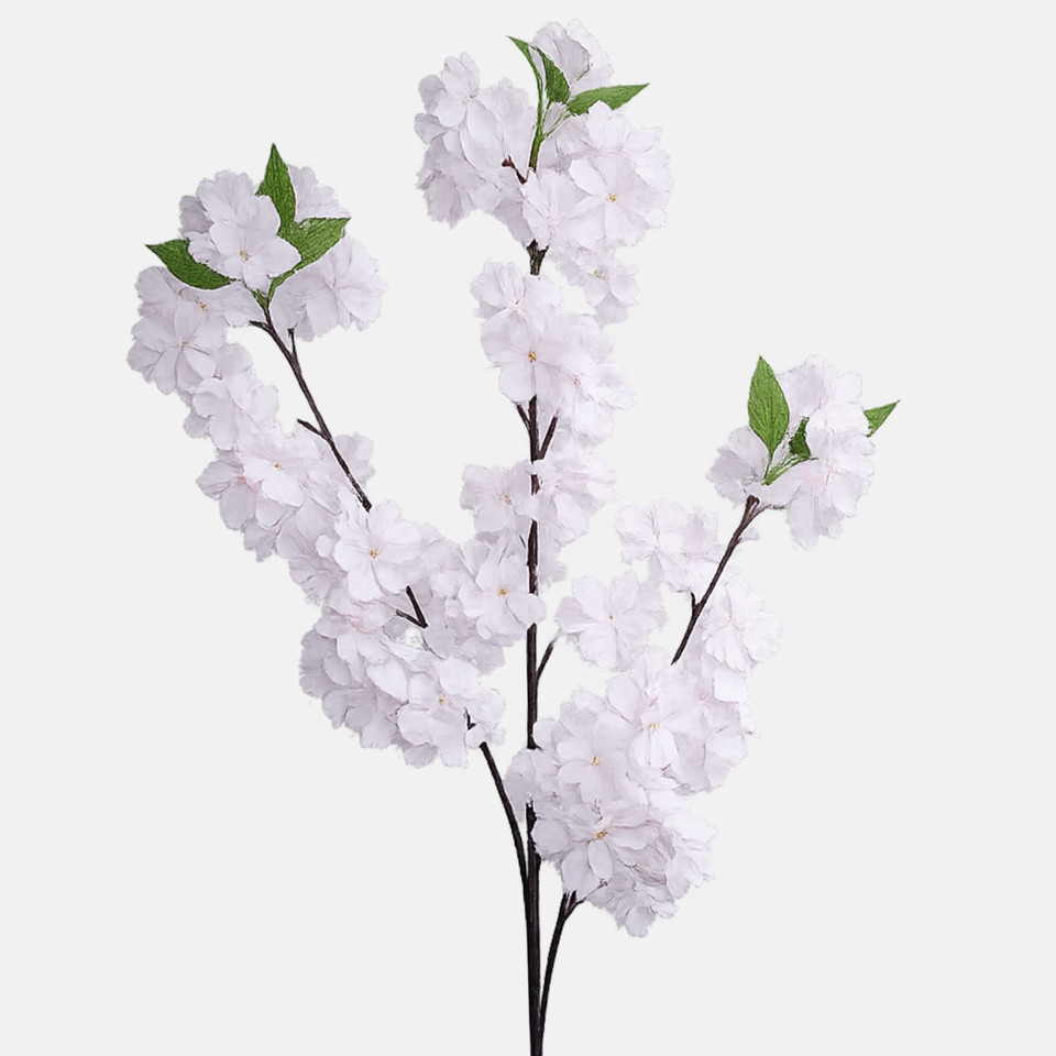 Jabłoń, Pink BGK262-03