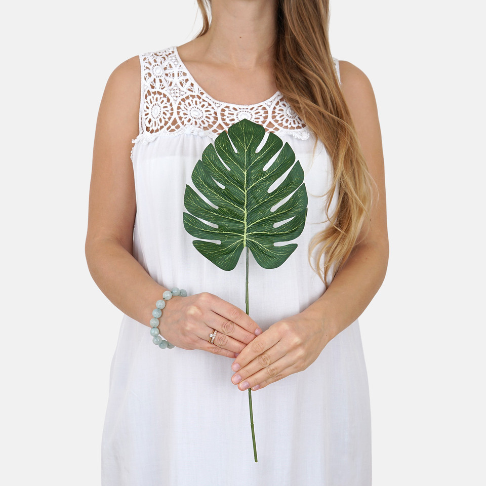 Philodendron leaf A082
