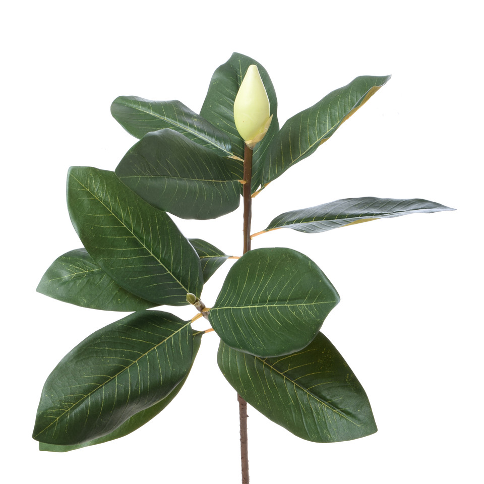 Magnolia - gałązka 75 cm R907-00