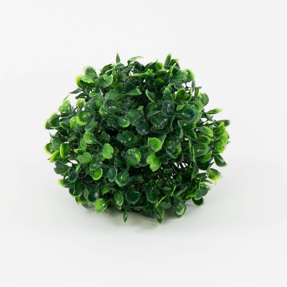 Bukszpan – półkula 14cm, 01 FB26-01