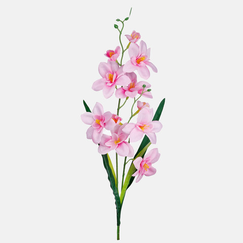 Storczyk satynowy z liściem, Pink G284-09
