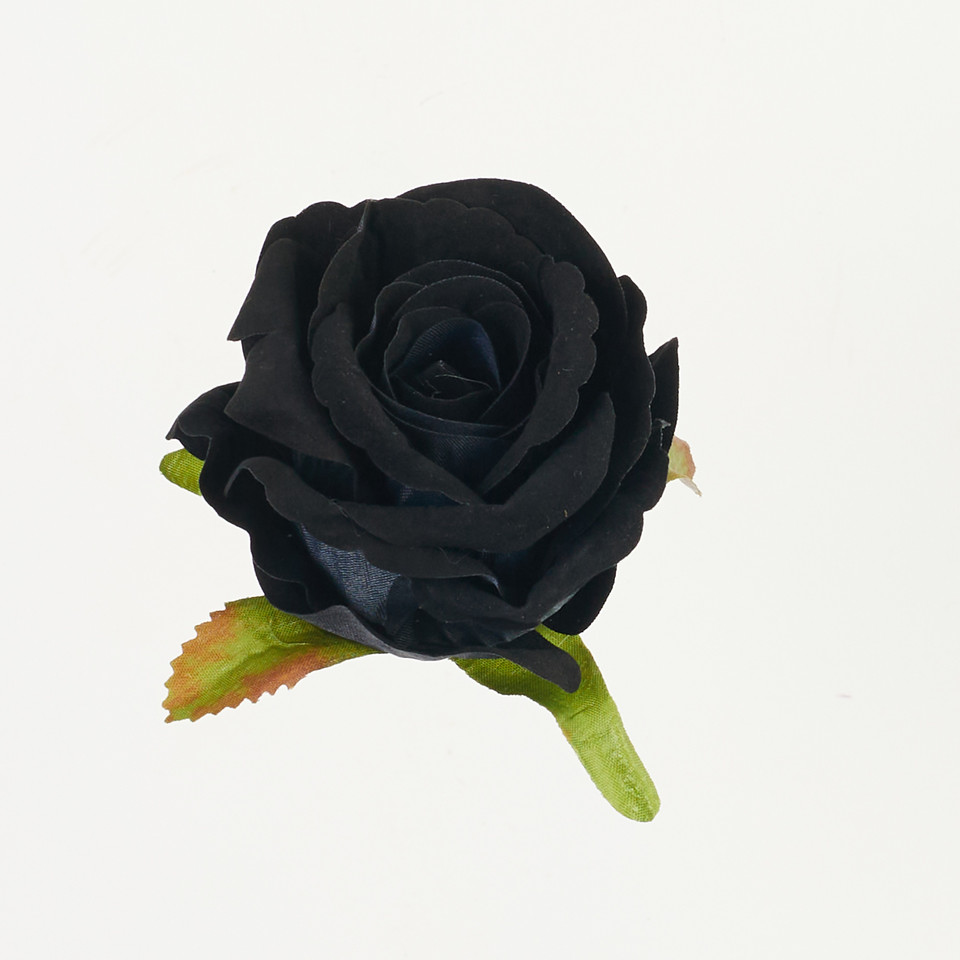 Róża, Black B64-06