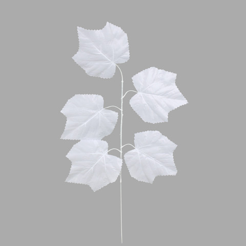 Maple, White F243-03