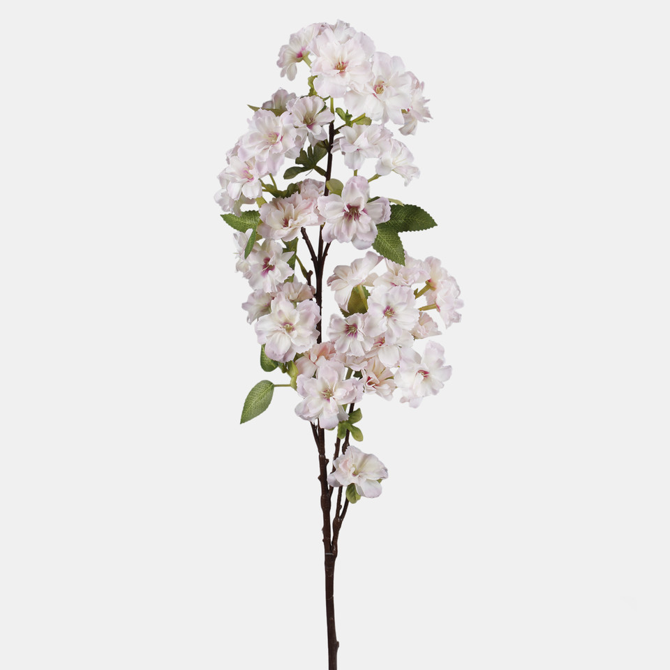Azalia, Pink L899-03