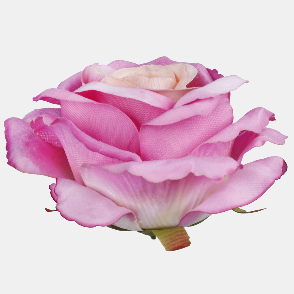 Rose, Peach/Mauve W697-07