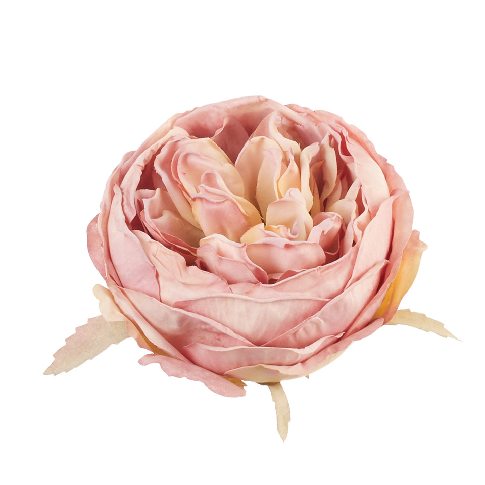 Peonia - główka, 03 pink B137-03