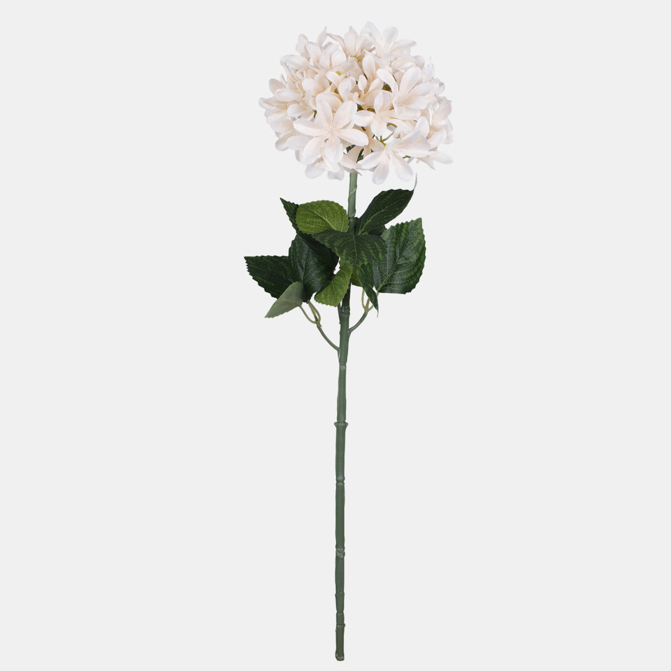 Hydrangea, Peach L902-02