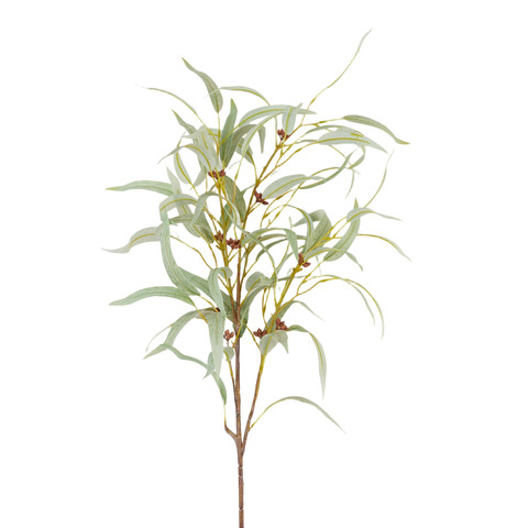 Leaf branch AL150