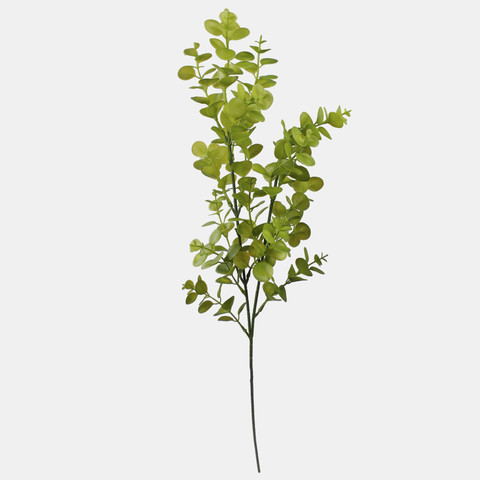 Eukaliptus, Lt. Green F249-01