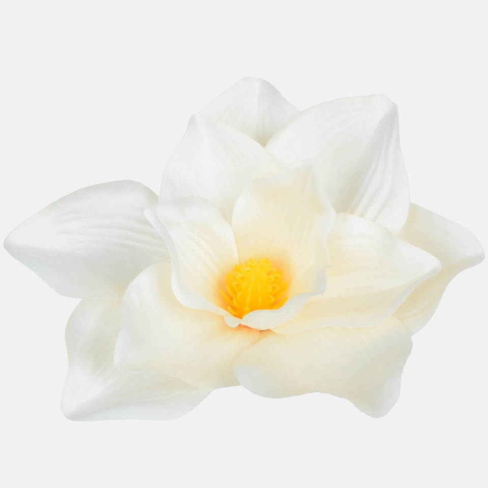 Magnolia, T.T. Cream W707-03