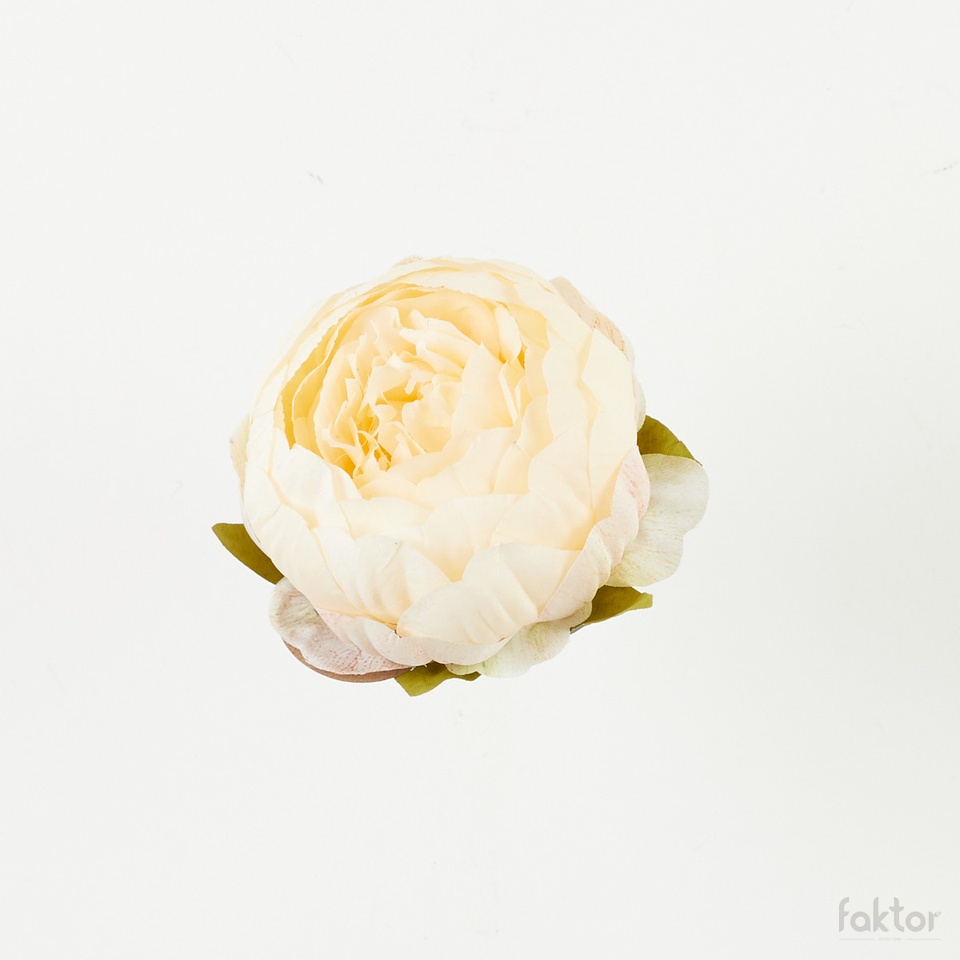 Peonia – główka, 03 B39-03