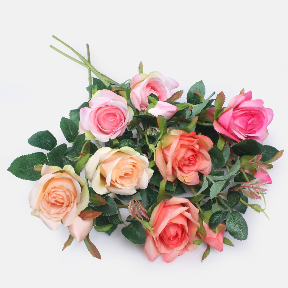 Rose, Mix 1 L738-01
