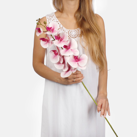Orchid L763L