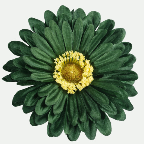Gerbera W010