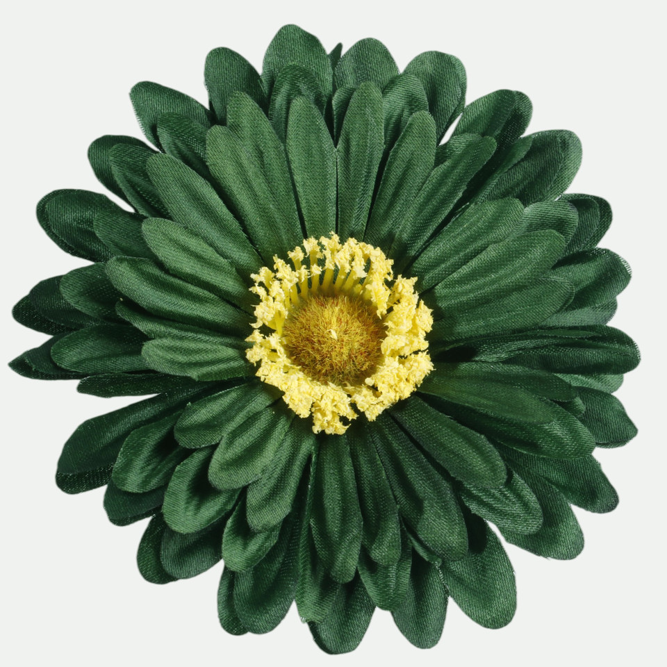 Gerbera, Dk. Green W010-16