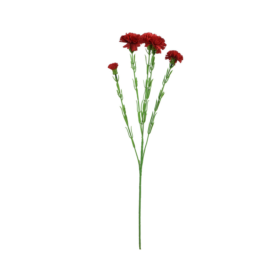 Goździk - gałązka 60 cm, m3 GK139-m3