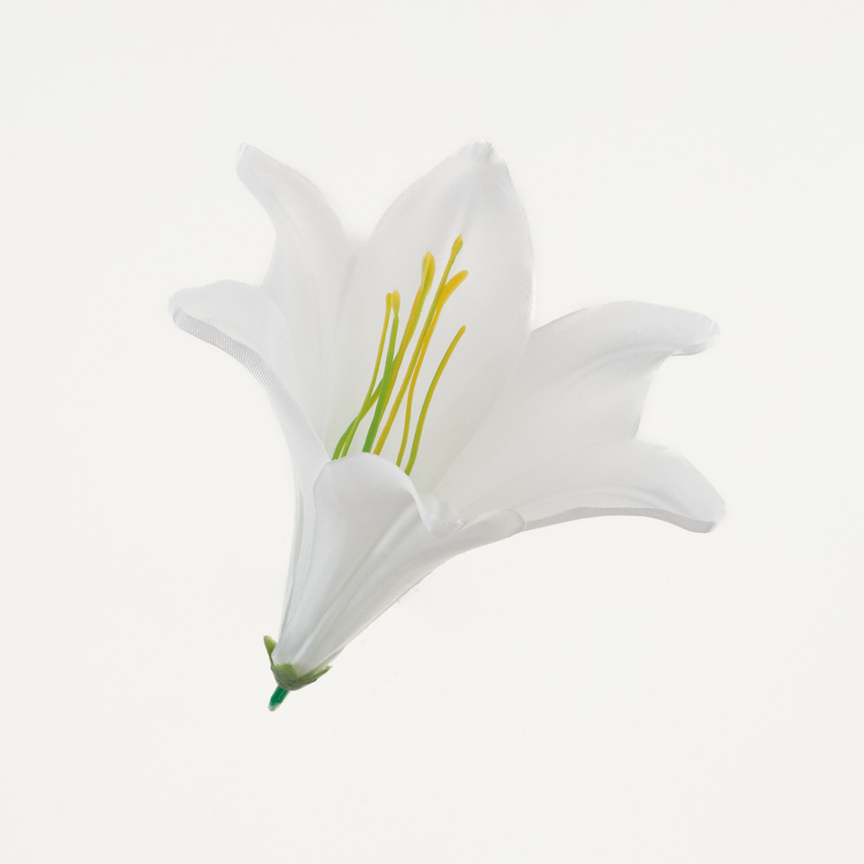 Lilia – główka satyna, pure white B276-001