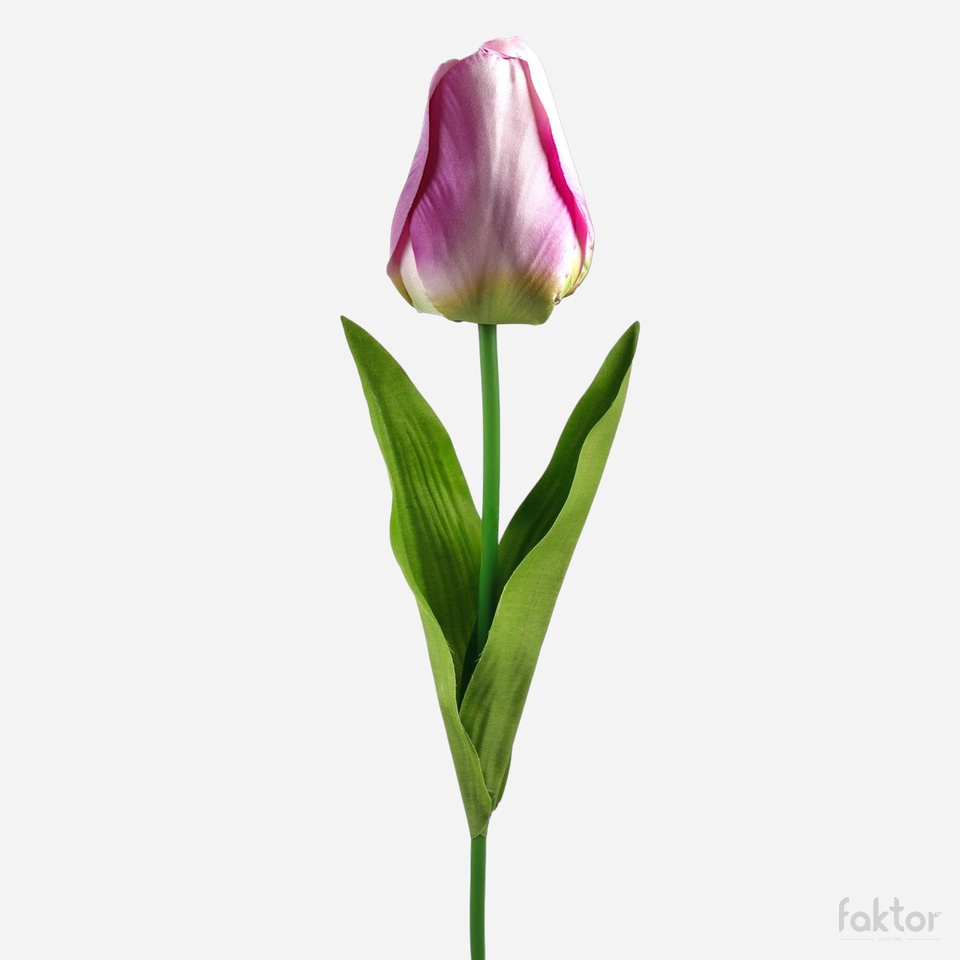 Tulip, Lilac/Cream/Green (7) L777-07