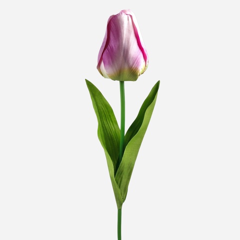 Tulip, Lilac/Cream/Green (7) L777-07