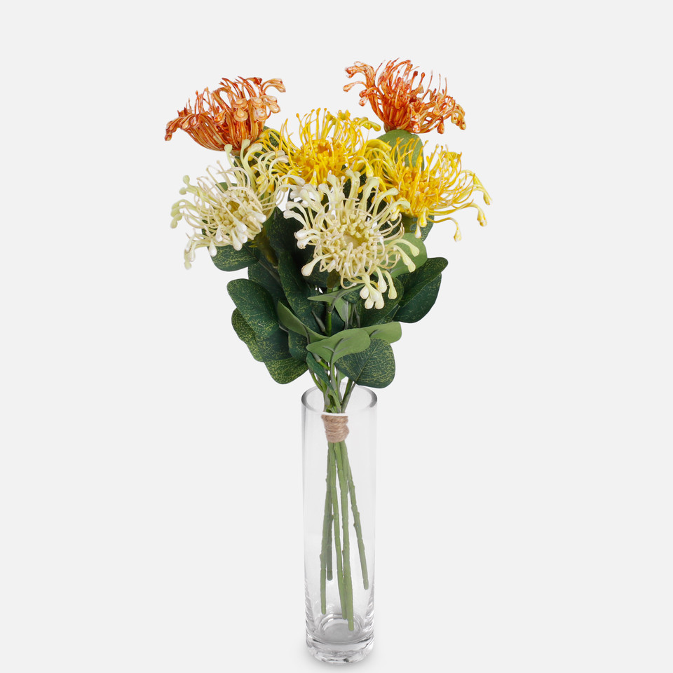Pincushion Protea, Cream A648-03