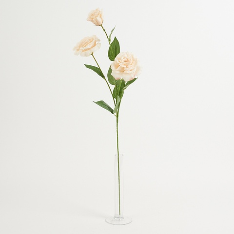Eustoma – gałązka x3, beige A105-02
