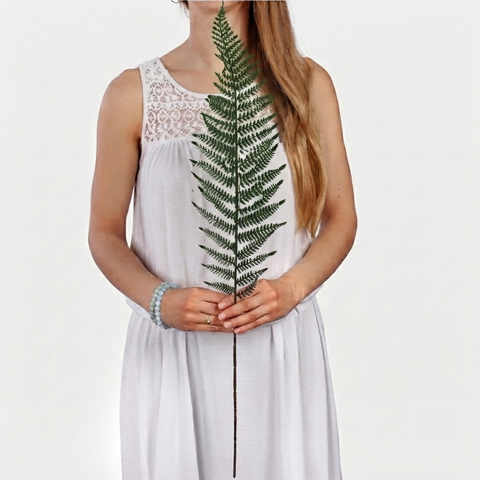 Fern BL245