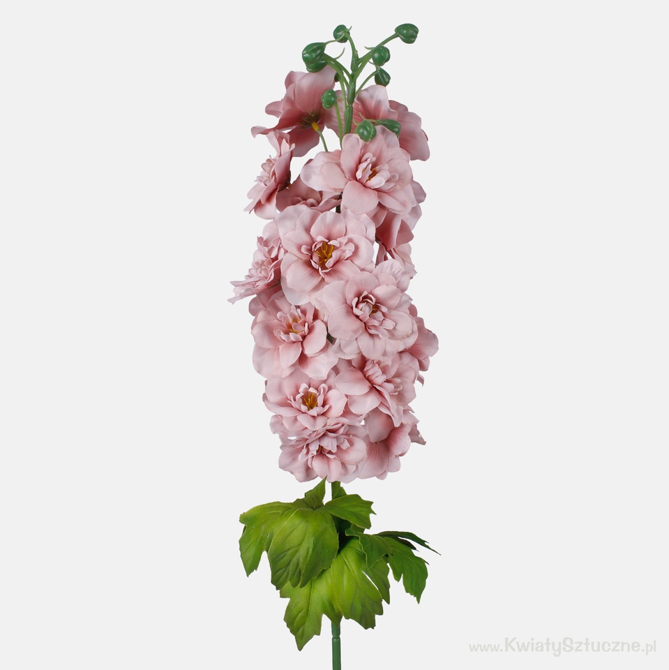 Delphinium, Mauve L181K-06