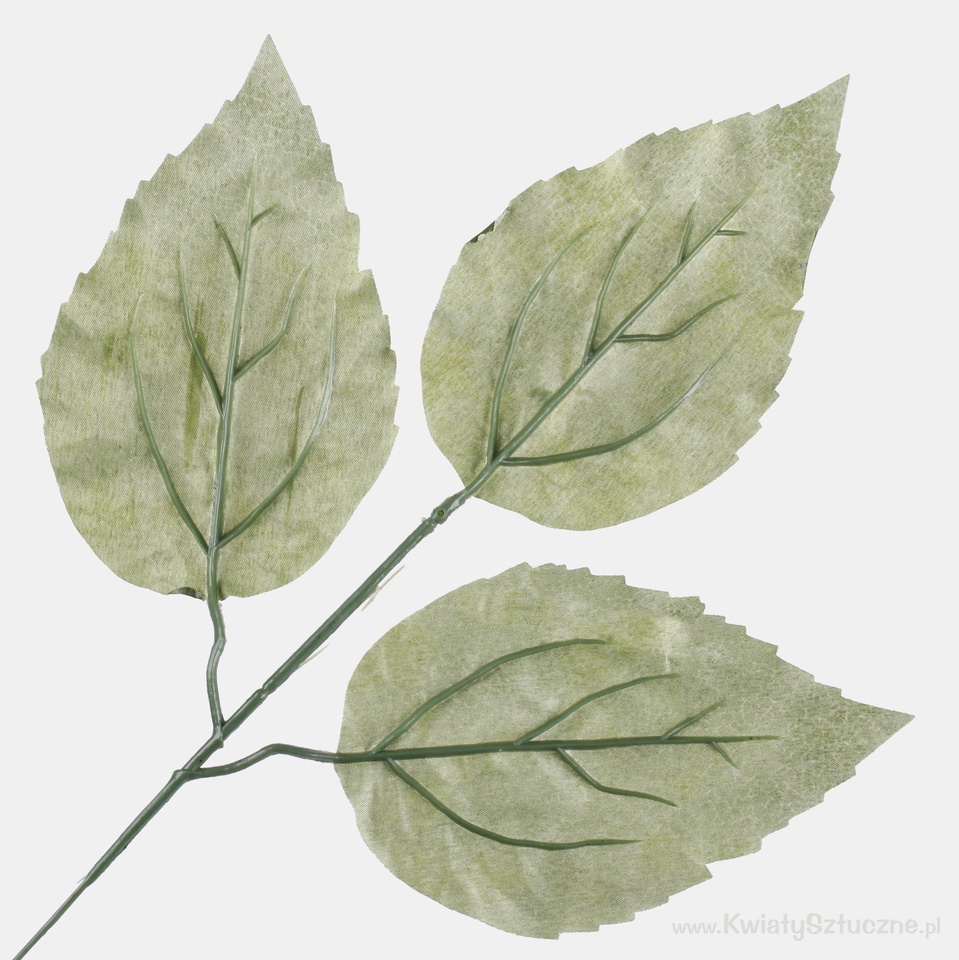 Sunflower leaf, Green A162-01