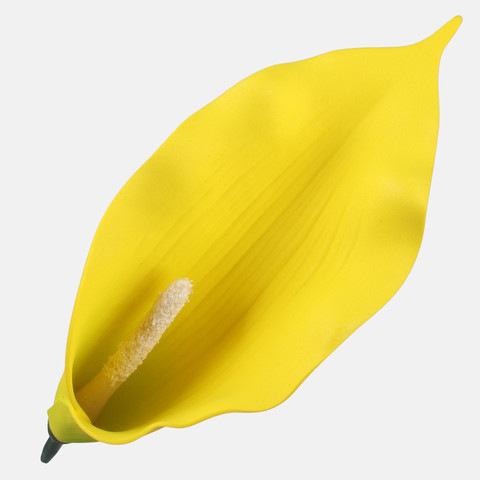Kalla W738