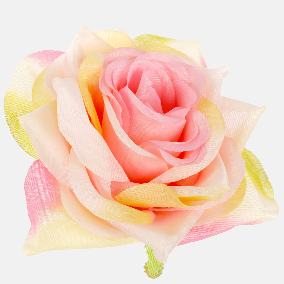 Róża, Peach W626-15