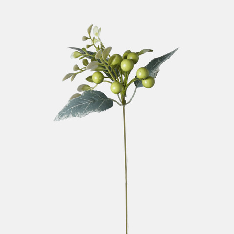 Blueberry, Green BDK076-04