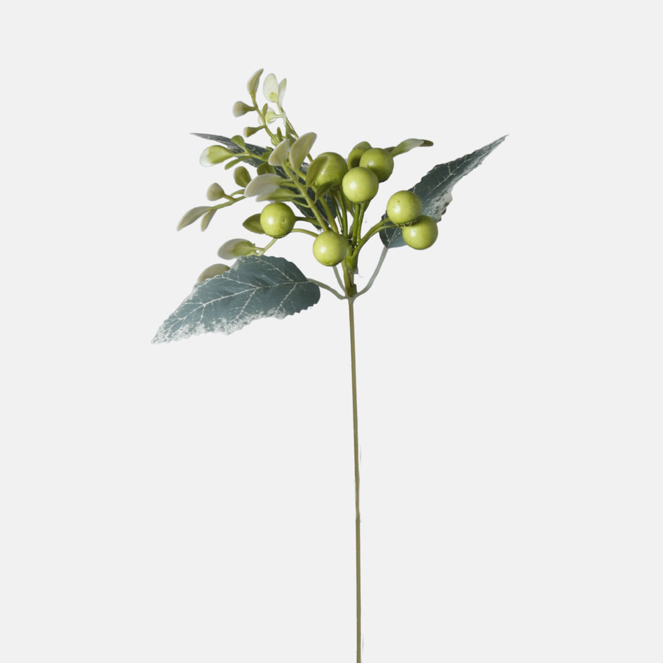 Borówka, Green BDK076-04