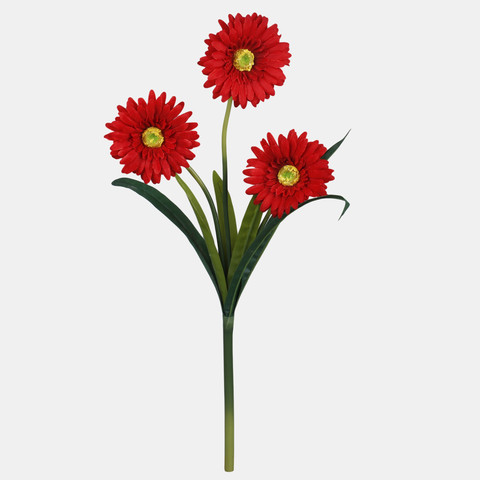 Gerbera, Pure Red G448-03