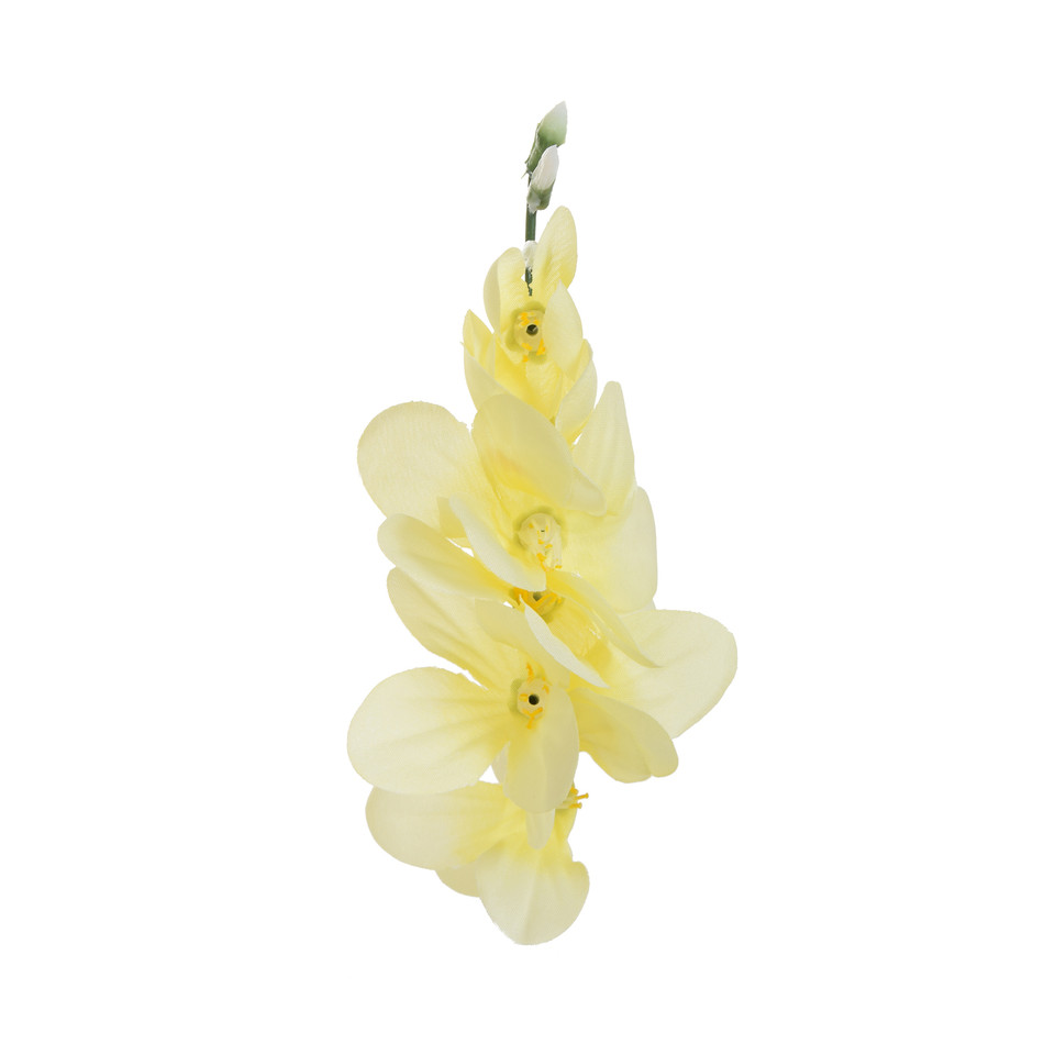 Frezja - główka 7,5 cm, cream W370-2