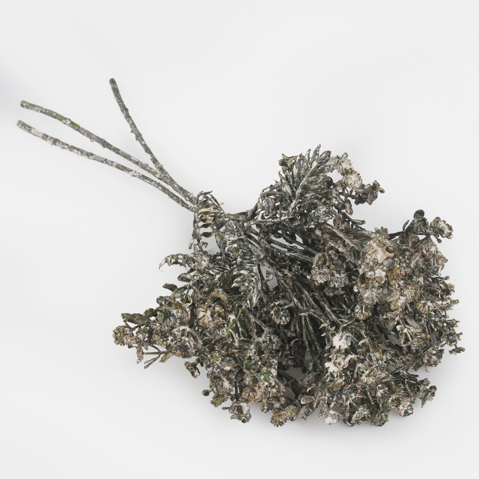 Kocanka bukiet, Green A773-04