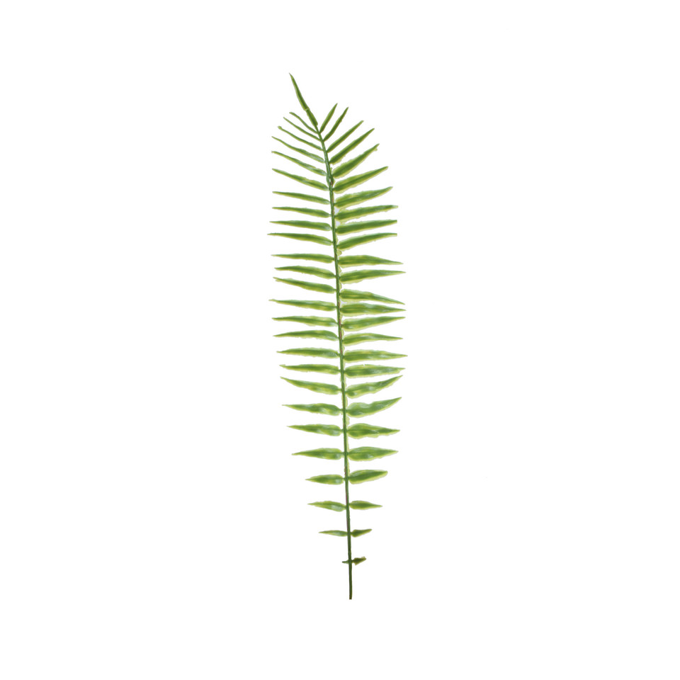 Paproć - liść 52 cm, green L499-00