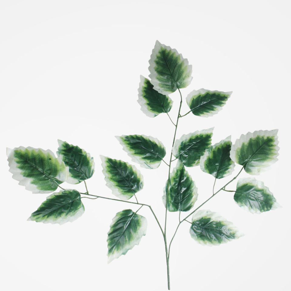 Alder branch 3 x 5, Green/White Edge F006X3-03