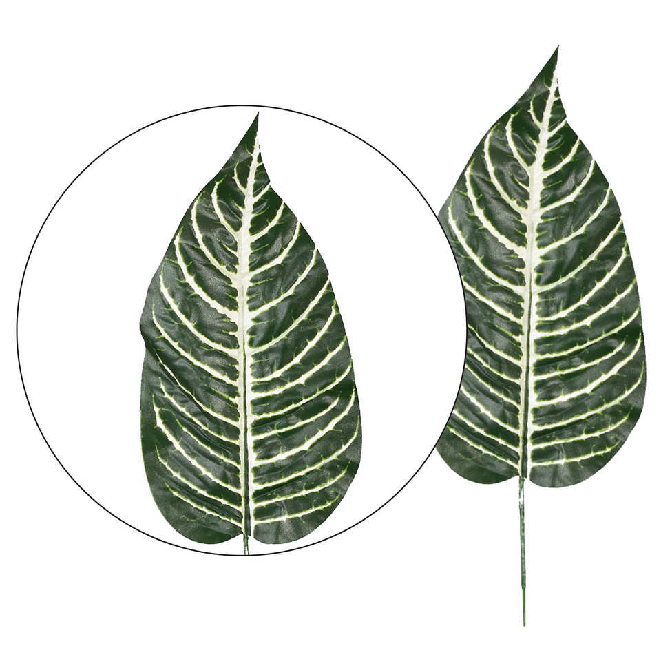 Zebra - liść 50 cm, green/white L908-00
