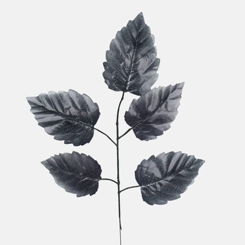 Elm, Black F244-02