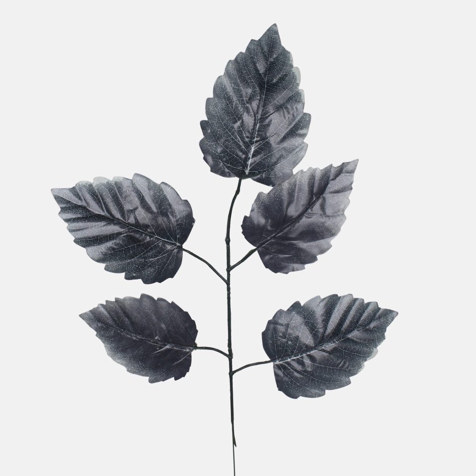 Elm, Black F244-02