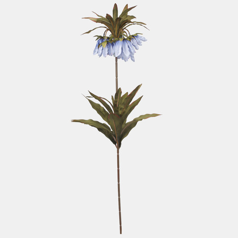 Crown imperial, Blue L020-07