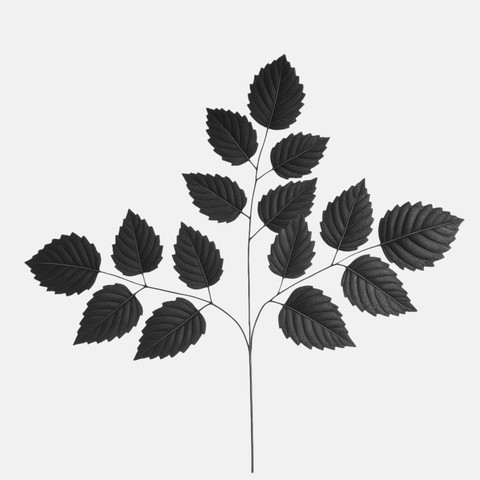 Alder branch 3 x 5, Black F006X3-08
