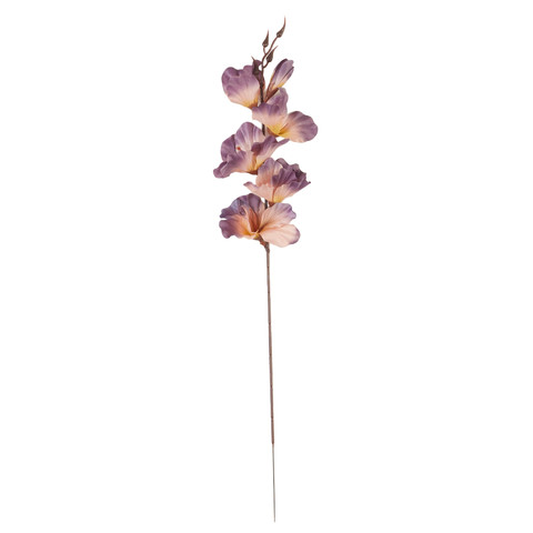 Gladiolus - twig, 29 mauve AL181-28