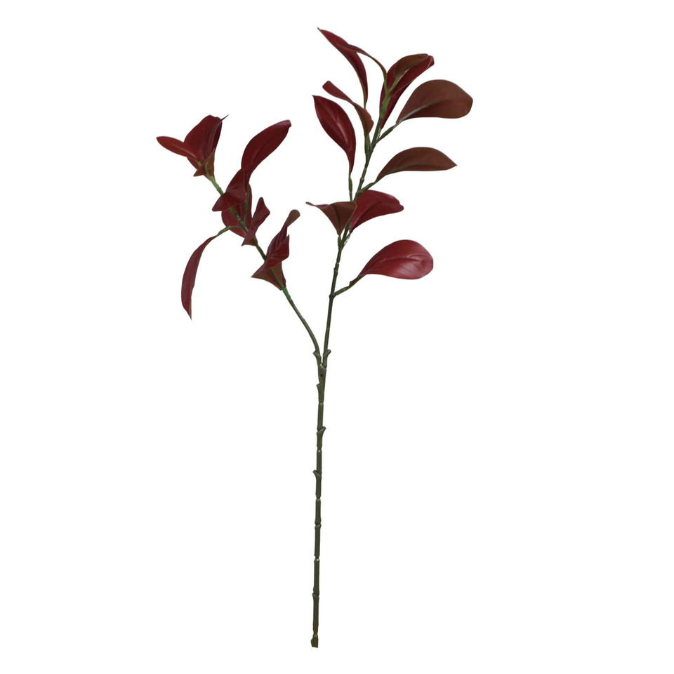 Fikus- gałązka liściasta 59 cm, BURGUNDY R253-02