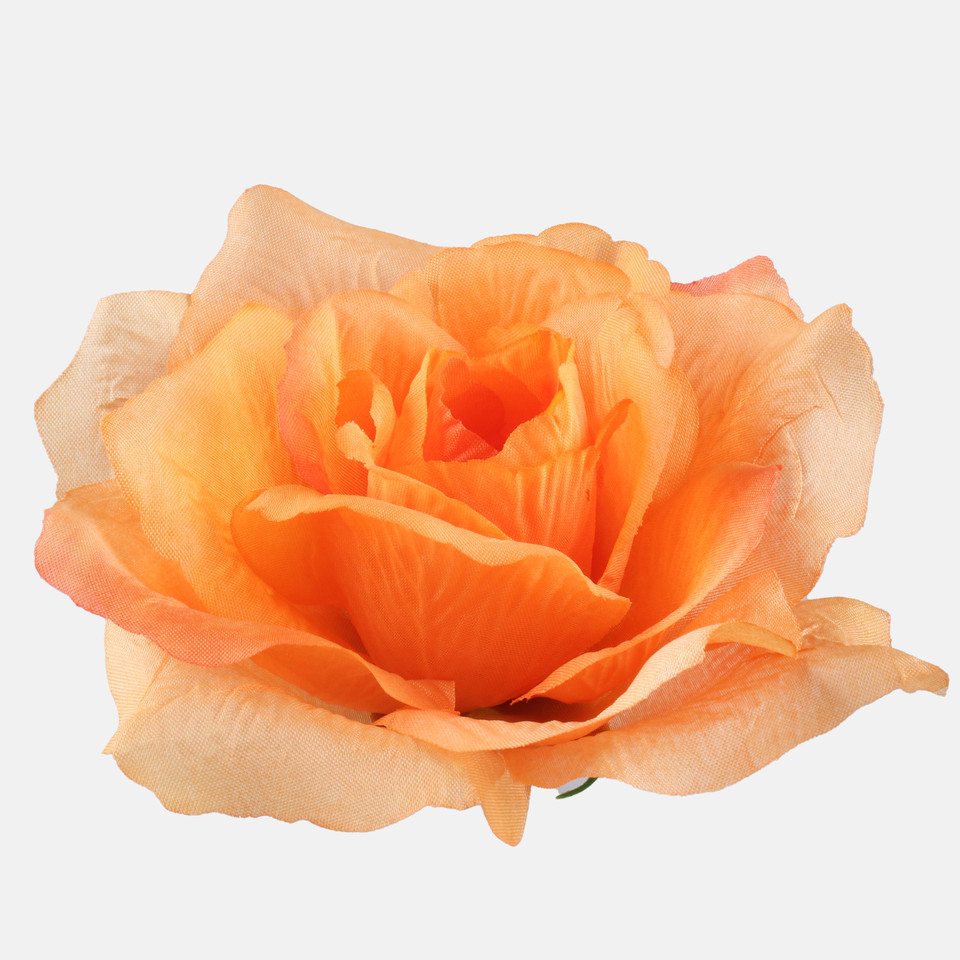 Róża francuska, Lt. Orange W087-46